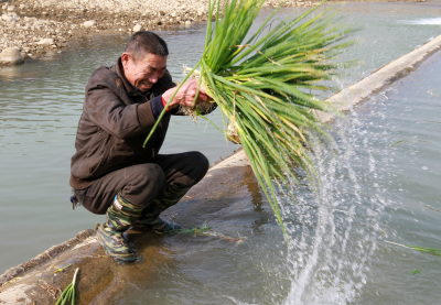    房县碧水行动保314条河流环境 