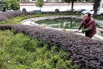 房县水务局文明单位创建硕果累累