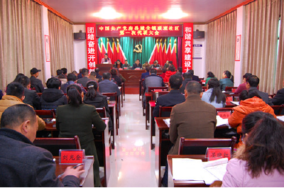 “小社区”建立“大党委” 