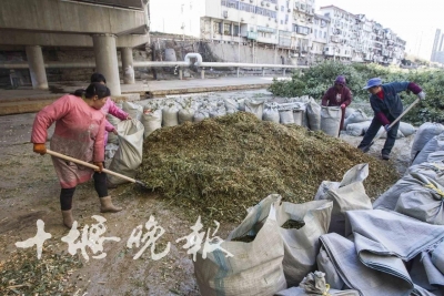 十堰被大雪压断的树枝足足装了500多车 残枝竟这样变废为宝