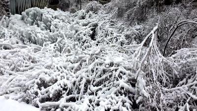 县五城联创指挥部办公室关于做好扫雪除冰工作的紧急通知