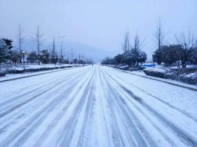 县农业局积极应对强降雪降温天气确保农业生产安全