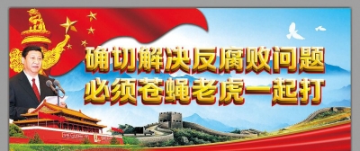 2017年反腐败工作综述