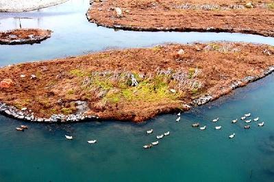 房县：一河清水映蓝天