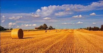 房县审计局“八新”措施贯彻落实全国审计工作会议精神