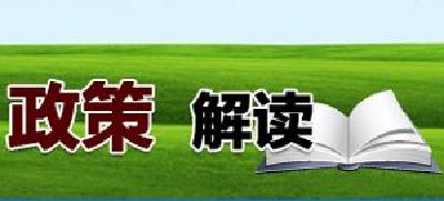 [视频]减税政策精准落地 企业活力不断增强