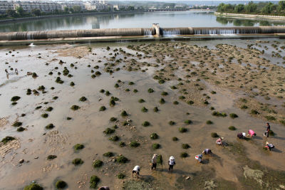 房县水务局喜获全市“影动生态 摄出精彩”环保摄影大赛一等奖 