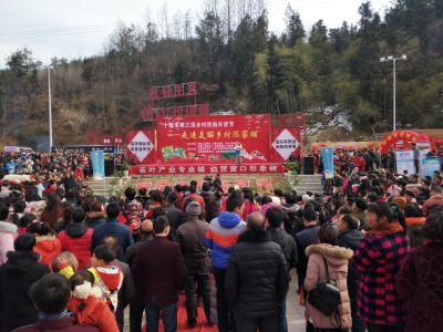 市第三届房县窑淮镇“走进美丽乡村，品购生态年货”活动实况(上)