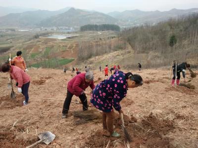 化龙堰镇：抢抓时节 忙春耕