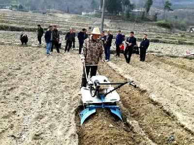 “小铁牛”成为烟农“好帮手”