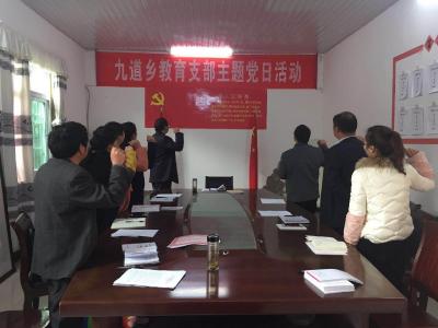 九道乡教育党支部开展3月主题党日活动