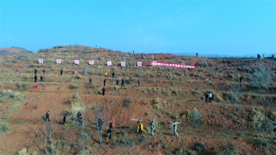 军店镇：组织千人大会战  植树万株绿荒山