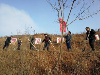军店镇中心学校组织教师开展义务植树活动