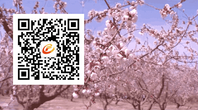 房县化龙供销社房屋（门面）出售公告