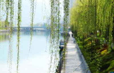 申公馆（湖北）家具有限公司诚聘英才