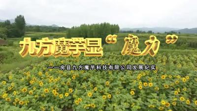 九方魔芋显“魔力” --房县九方魔芋科技有限公司发展纪实