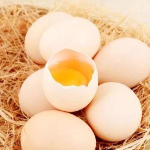 房县图书馆筹建 “地方文献阅览室” 倡议书