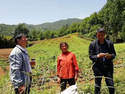 村里的变化在山上