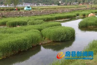 房县2017年度县级示范新型农业经营主体公示  名单