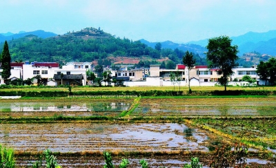 房县晓阳梯田