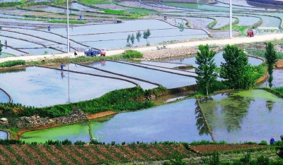 房县晓阳梯田