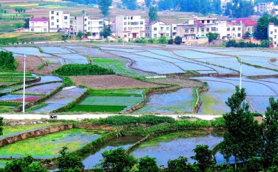 房县晓阳梯田