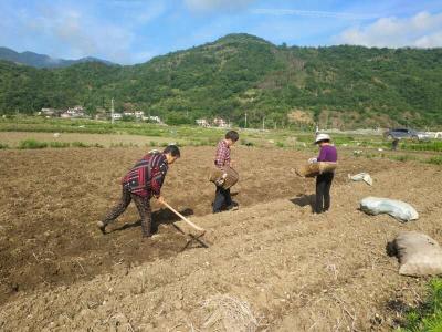 凝心聚力 奋力赶超 中坝乡产业发展谱写脱贫攻坚新篇章 