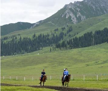 新疆：马背上的“生态致富路” 2018年07月10日