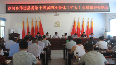 沙河乡学习县委十四届四次全体（扩大）会议精神