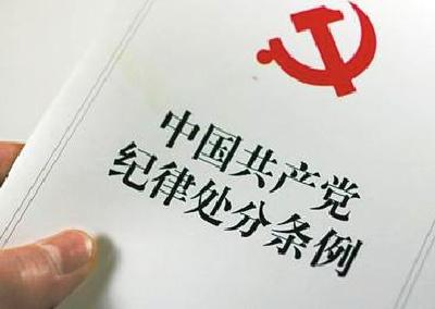 红塔财政所集中学习《中国共产党纪律处分条例》