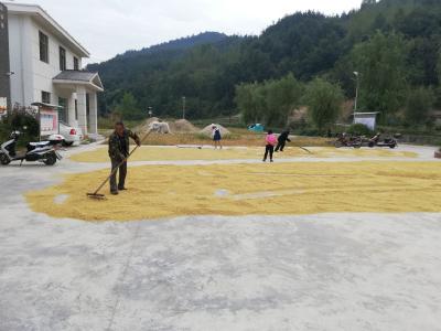 晒粮场上话发展