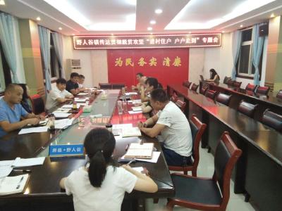 野人谷镇召开脱贫攻坚“进村住户、户户走到”专题会