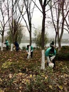 房县市政园林局开展冬季树木防护工作
