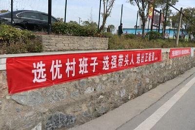 城关镇开展村(社区)“两委”换届选举