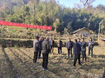 大木厂镇召开油牡丹冬季管理技术现场推广会