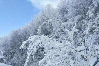 琼树银花！房县这个地方现雾凇奇观