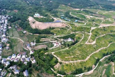 军店镇：聚焦产业促增收 巩固脱贫提质效