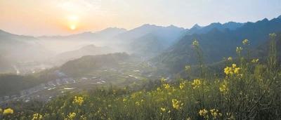 青峰镇：推行“三制”管理 助推脱贫攻坚