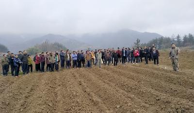 中坝乡打好烟叶产业第一战