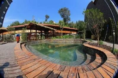 近镜头·总书记的2025｜步履之间，心之所向