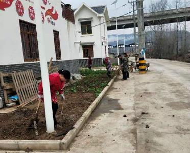 军店人社中心到精准扶贫联系村开展植树活动