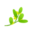 十堰市消防支队关于建设工程消防设计审查验收职责移交的公告