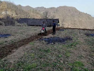 县住建局驻肖家沟村工作队帮扶群众产业发展