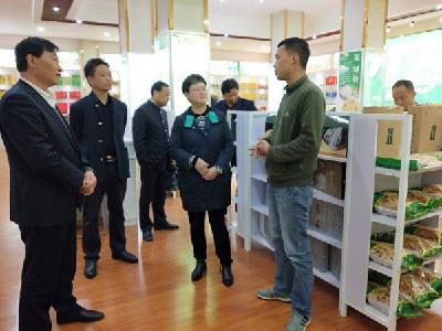 秭归县政协代表团来我县考察