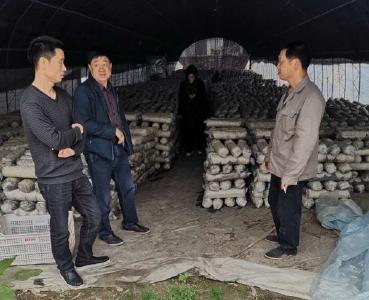 鲁清华督导沙河乡《湖北省乡镇人大代表大会工作条例》贯彻落实情况