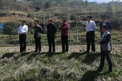 县教育局局长周兴富实地调研白鹤镇堰河小学建校选址工作  