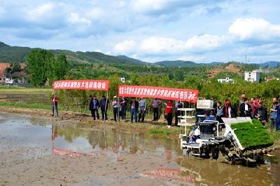 我县大力推广水稻机械化插秧和侧深施肥技术