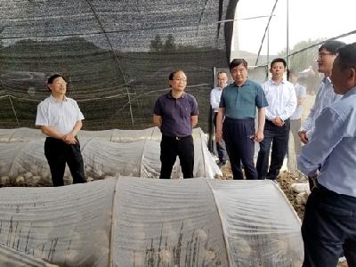 张歌莺来房调研精准扶贫工作