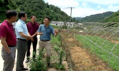 湖北中医药大学校长吕文亮来房调研精准扶贫工作