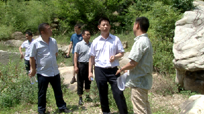 纪道清调研青峰大裂谷旅游开发项目